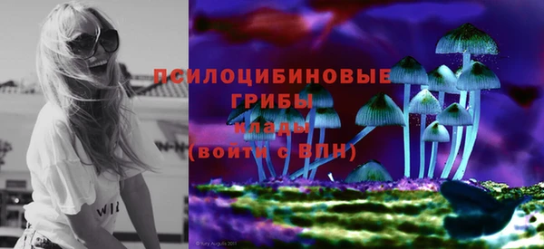 МДПВ Новокубанск