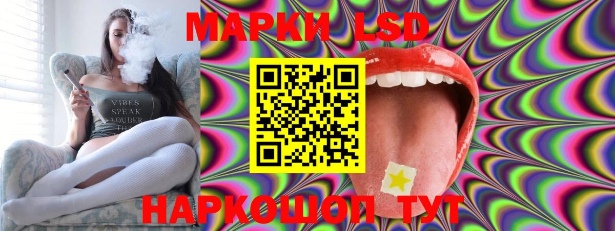Курчатов  ЛСД экстази кислота  LSD-25 экстази кислота  Вход с VPN 