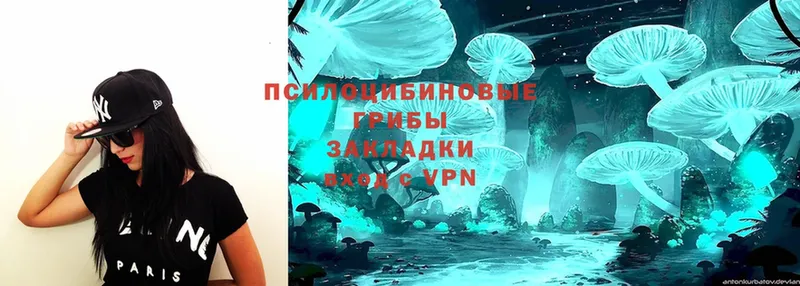 Галлюциногенные грибы MAGIC MUSHROOMS  закладки  Курчатов 