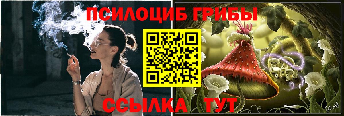 Курчатов  Псилоцибиновые грибы Magic Shrooms  Вход с VPN 