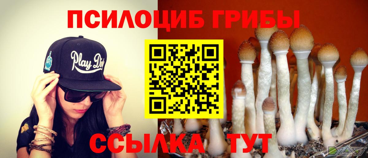 Галлюциногенные грибы Magic Shrooms Курчатов
